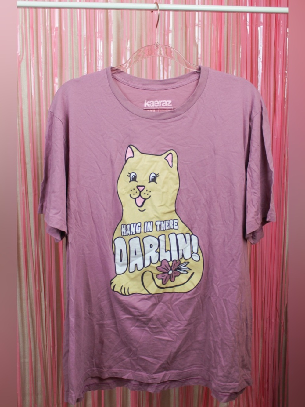 Hang in there Darlin! Graphic Tee 2X